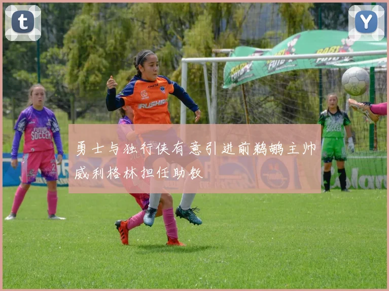 勇士与独行侠有意引进前鹈鹕主帅威利格林担任助教