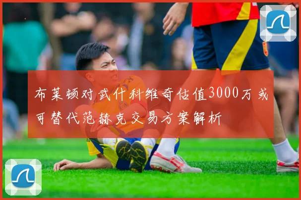 布莱顿对武什科维奇估值3000万或可替代范赫克交易方案解析