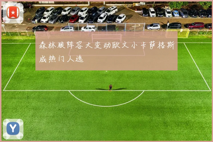 森林狼阵容大变动欧文小卡萨格斯成热门人选